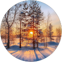 даша мелештян profile picture